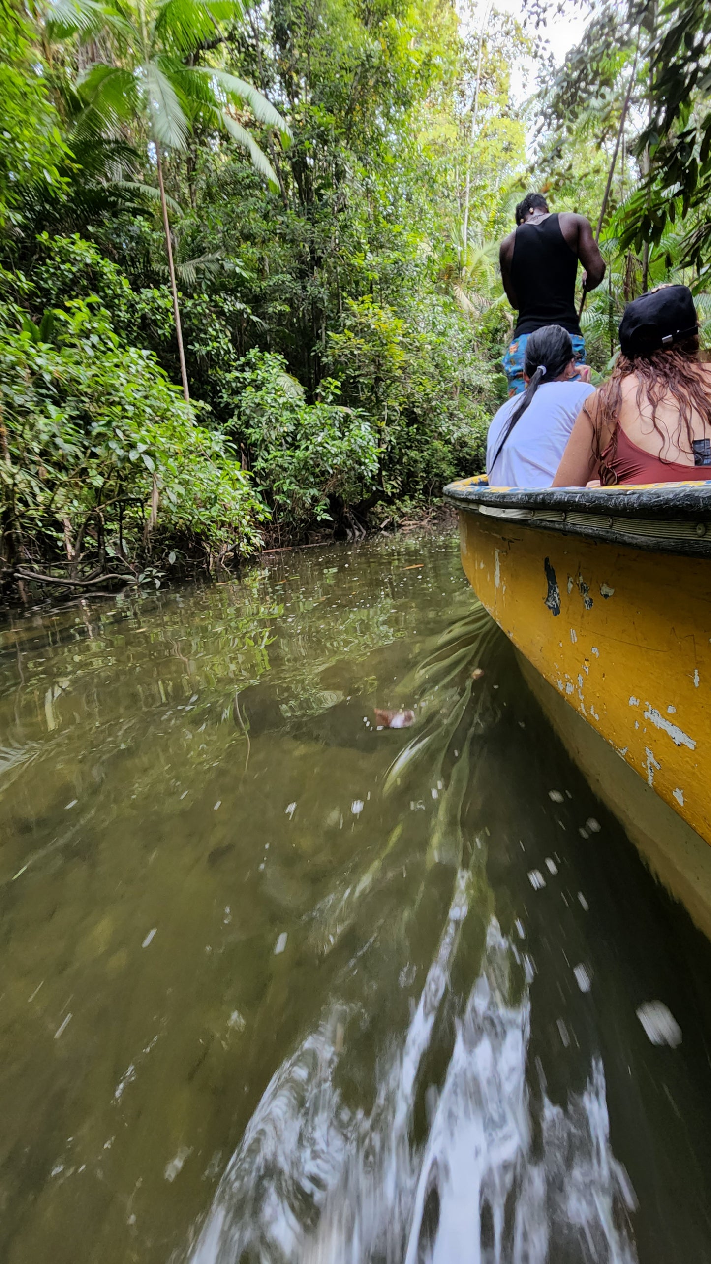 Manglar: Recorrido por el Estero y Manglar Ladrilleros.