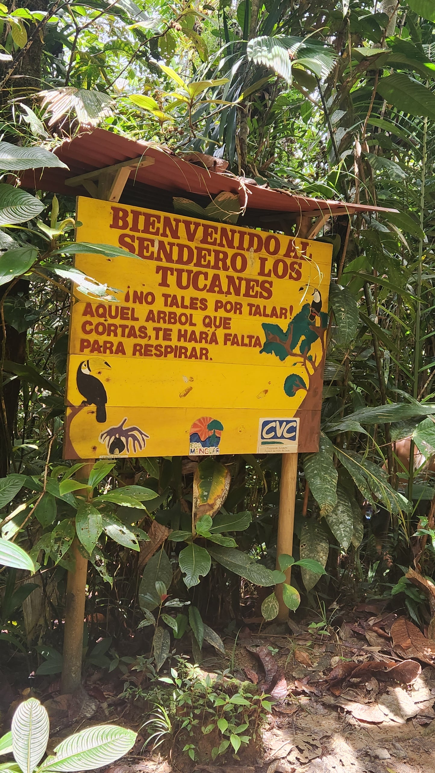 Sendero Los Tucanes. Visita Pueblos Negros de Miramar y La Sierpe.