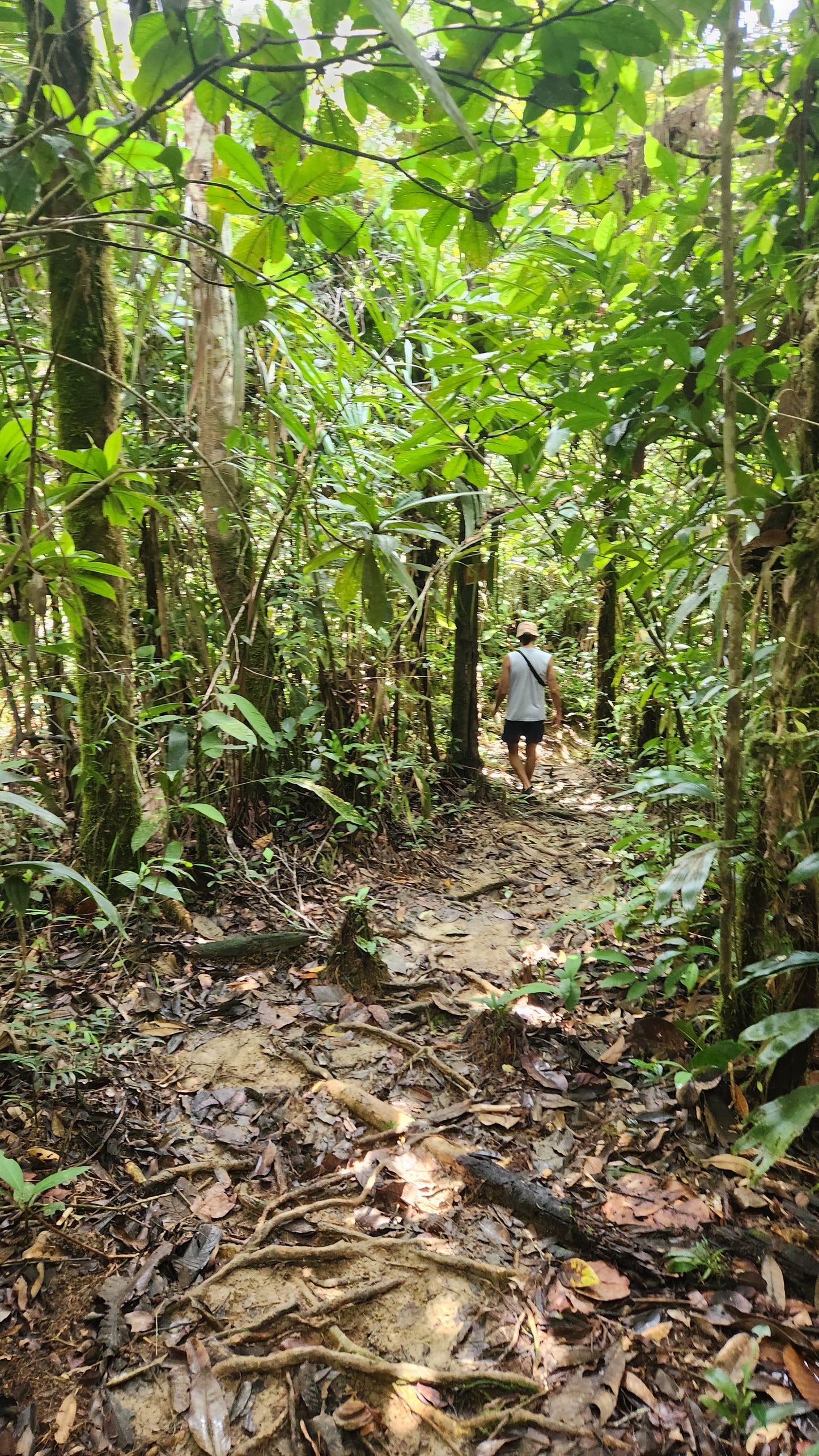 Sendero Los Tucanes. Visita Pueblos Negros de Miramar y La Sierpe.