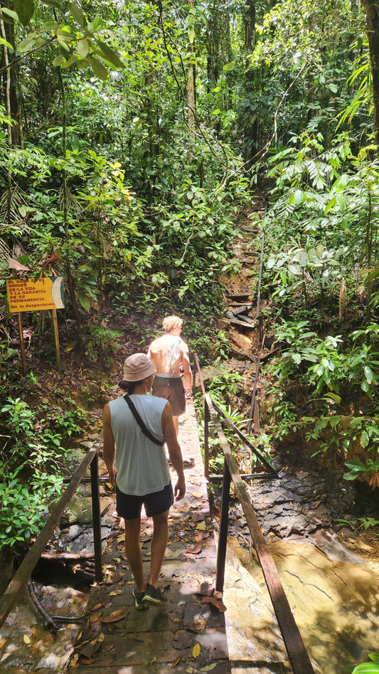 Sendero Los Tucanes. Visita Pueblos Negros de Miramar y La Sierpe.