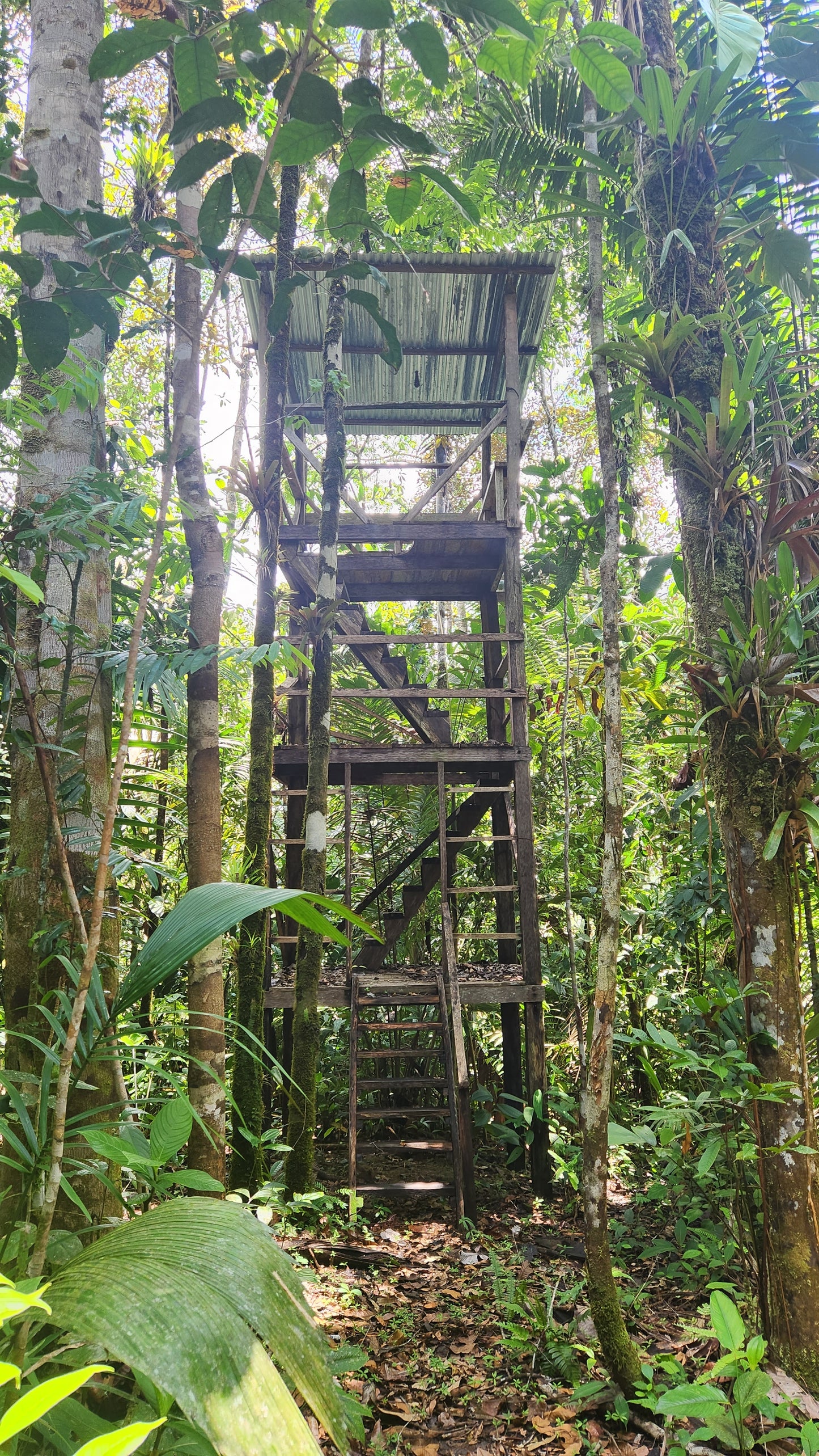 Sendero Los Tucanes. Visita Pueblos Negros de Miramar y La Sierpe.