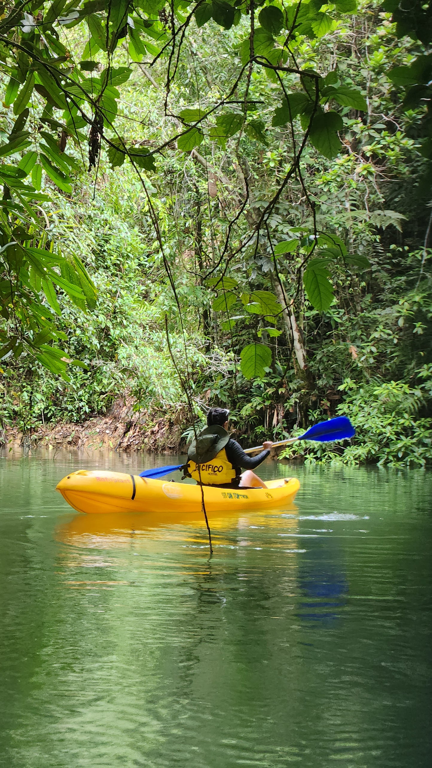 Kayak (1 Hora)