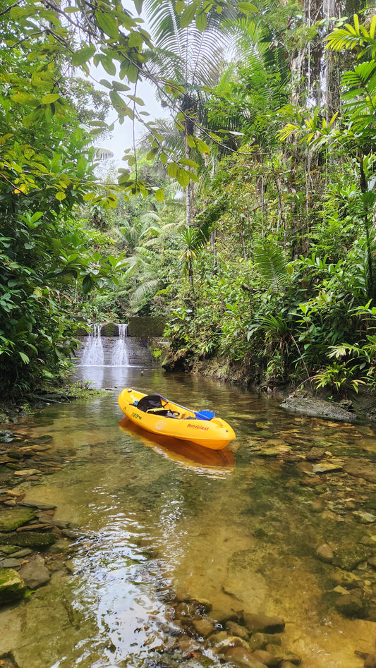 Kayak (1 Hora)