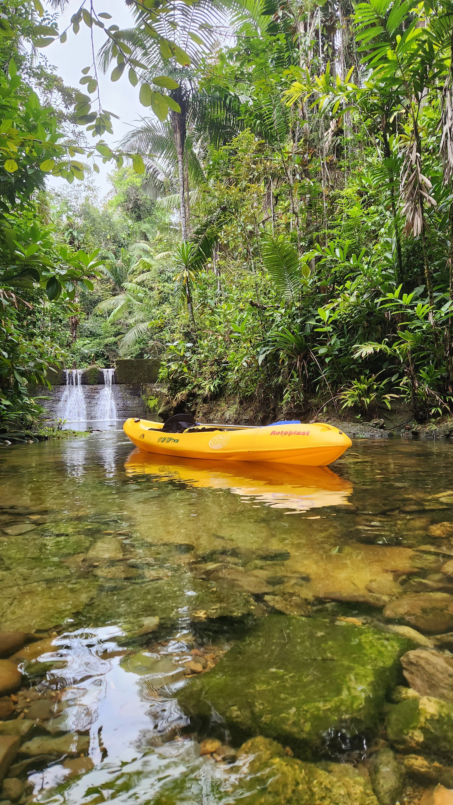 Kayak (1 Hora)