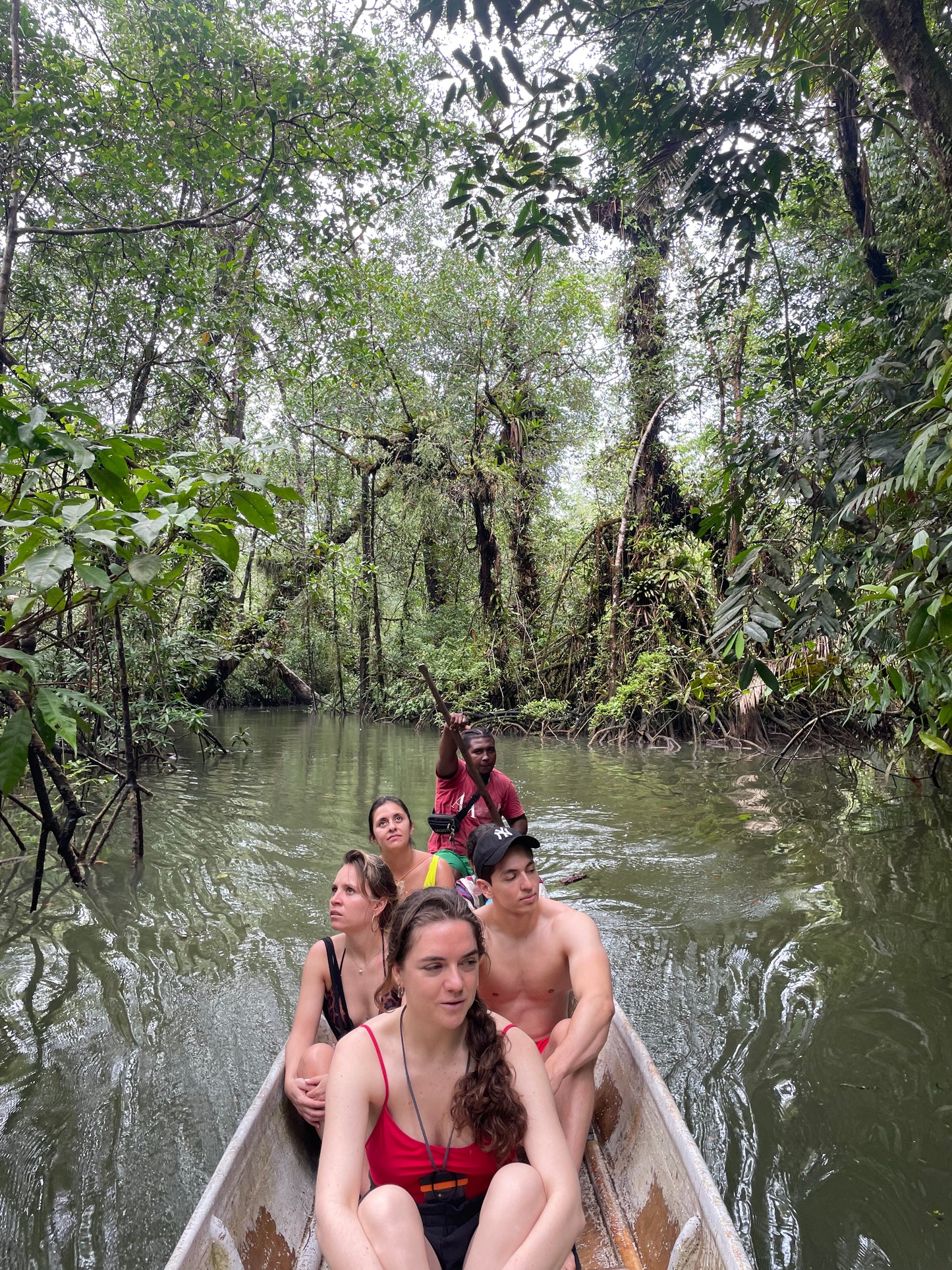 Manglar: Recorrido por el Estero y Manglar Ladrilleros.