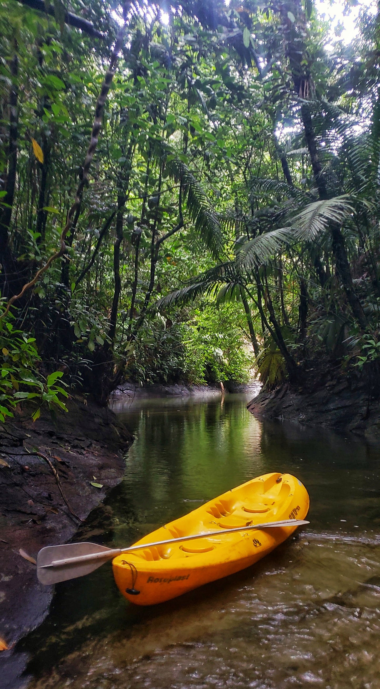 Kayak (1 Hora)